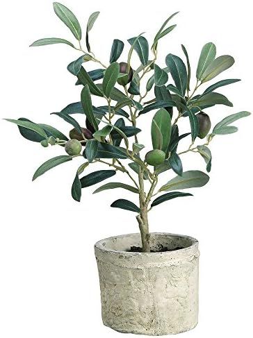 Green Plastic Potted Olive Tree - 12"H | Amazon (US)