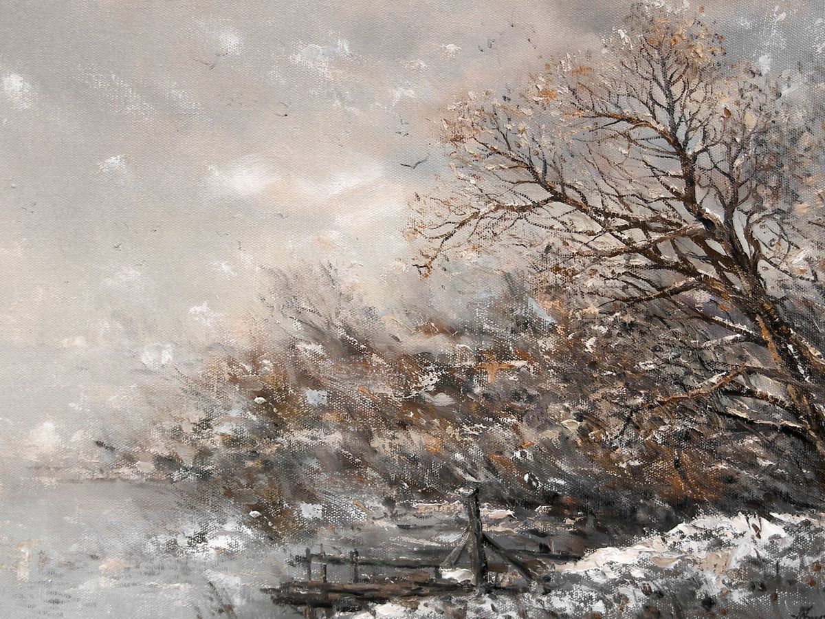 Frosted Riverbank | Collection Prints