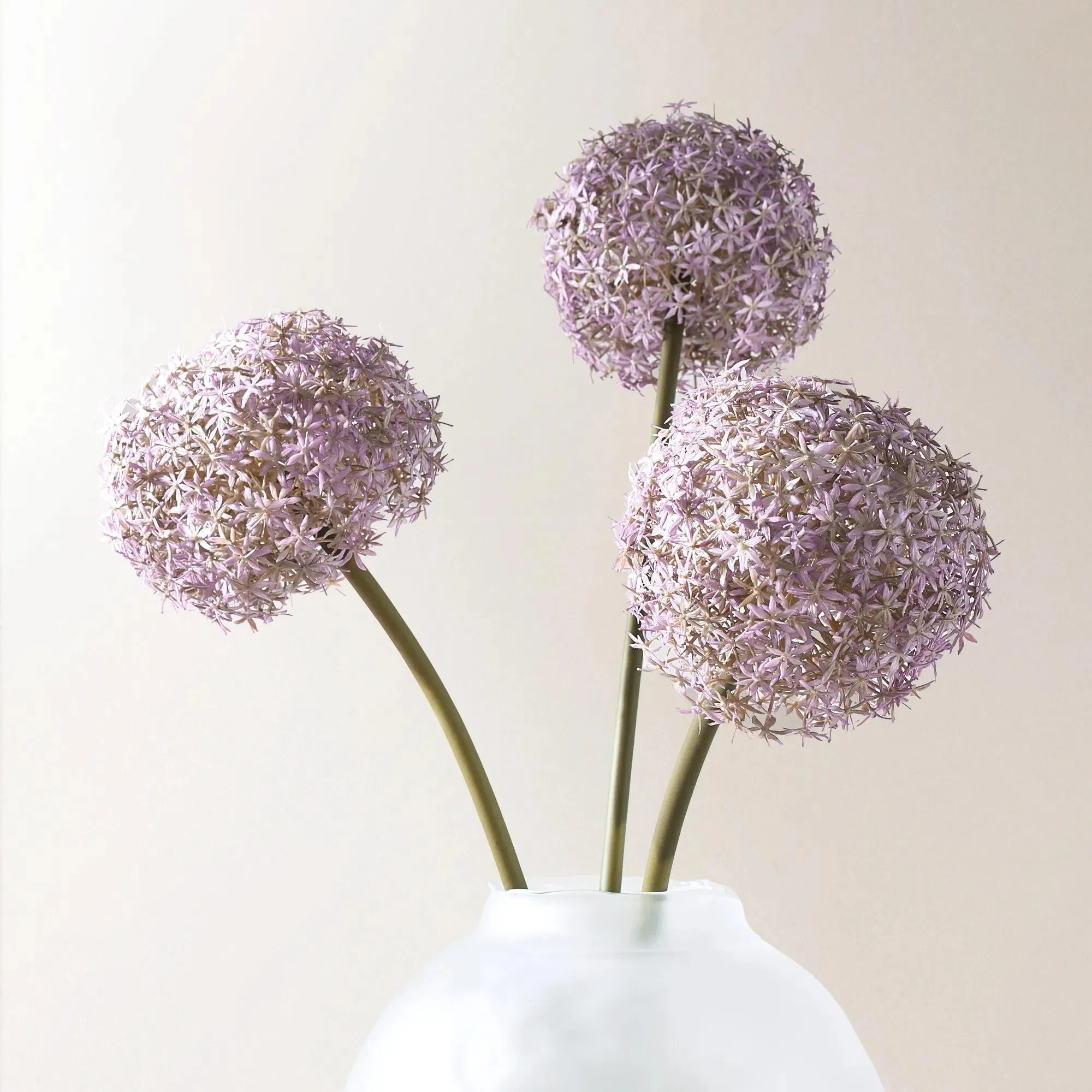 Amethyst Allium Bulb 40" - Set of 3 | Z Gallerie