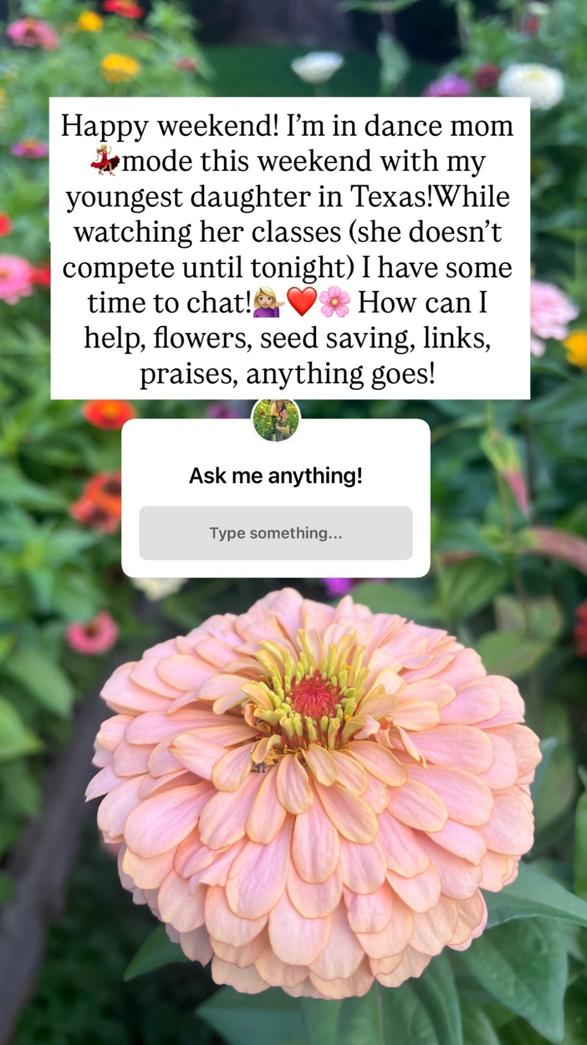 Happy weekend! I’m in dance mom 💃🏼mode this weekend with my youngest daughter in Texas!While watching her classes (she doesn’t compete until tonight) I have some time to chat!💁🏼‍♀️❤️🌸 How can I help, flowers, seed saving, links, praises, anything goes!

#LTKSeasonal #LTKHoliday #LTKGiftGuide