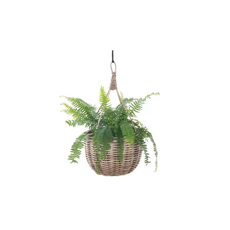 Ayriauna Hanging Planter | Wayfair North America