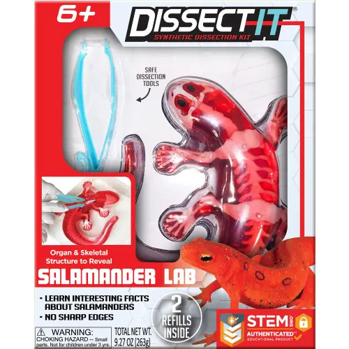 Dissect-It Dissect It Salamander Lab Synthetic Dissection Kit in Multicolored at Nordstrom | Nordstrom