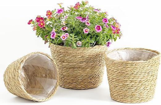 SaolGllS Plant Baskets for Indoor Plants, Seagrass Flower Plant Pots Cover Storage Basket for Org... | Amazon (US)