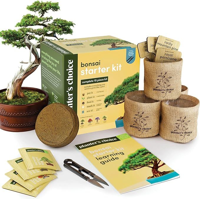 Bonsai Starter Kit - Gardening Gift for Women & Men - Bonsai Tree Growing Garden Crafts Hobby Kit... | Amazon (US)