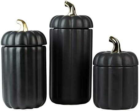 10 Strawberry Street Halloween Canister, Set of 3, Black/Gold | Amazon (US)