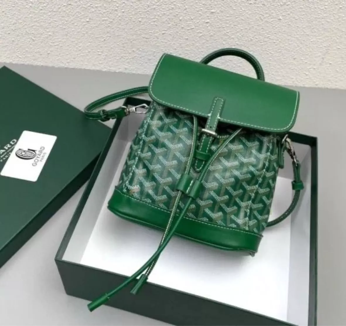 Goyard, Bags, Goyard Alpin Mini Backpack Green