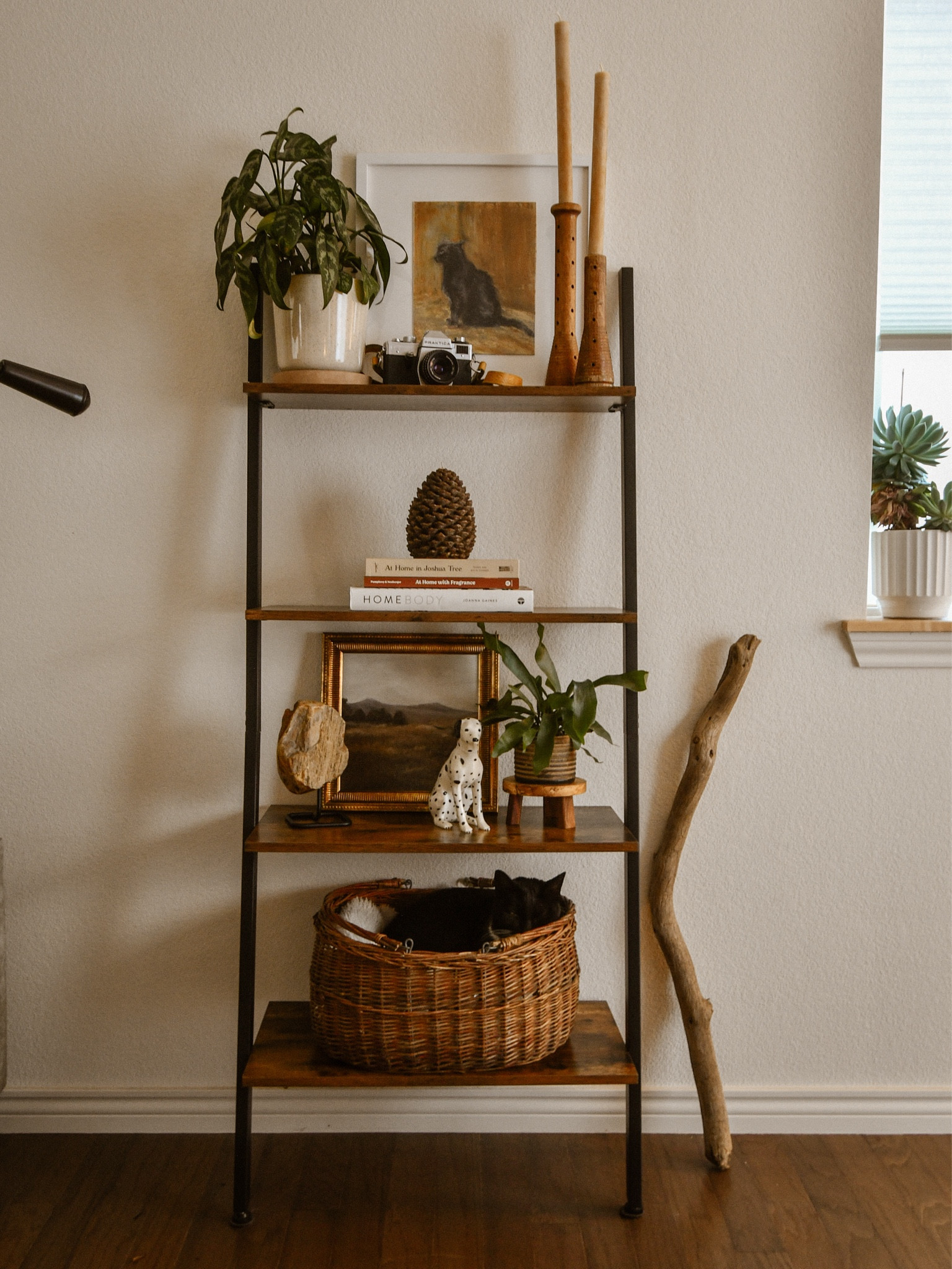 Cozy shelf styling 

#LTKHome #LTKFindsUnder100