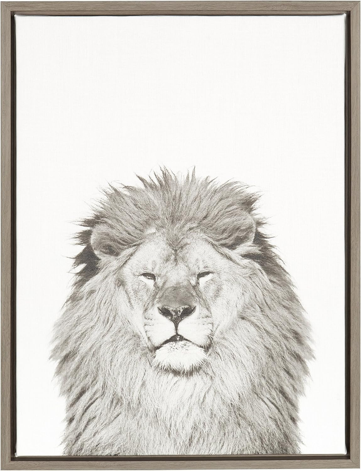 Kate and Laurel Sylvie Lion Animal Print Black and White Portrait Framed Canvas Wall Art by Simon... | Amazon (US)