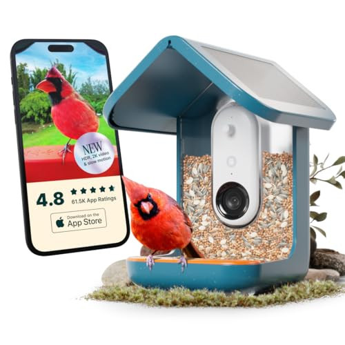 Bird Buddy PRO Solar Smart Bird Feeder with Camera - AI Bird Species Identification, 5MP Photos, 2K HD Video Live Stream Camera, Slow-Motion Video, 2.6in Focus - Blue Solar | Amazon (US)