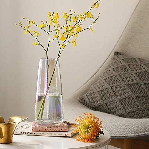 FUNSOBA Tall Clear Glass Vases for Flower Centerpieces Decorative 8.6 Inch (Clear) | Amazon (US)