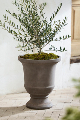 Concrete Fluted Edge Urn Planter | Terrain