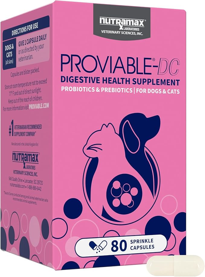 Amazon.com : Nutramax Proviable Probiotics for Dogs and Cats, Daily Digestive Health Supplement w... | Amazon (US)