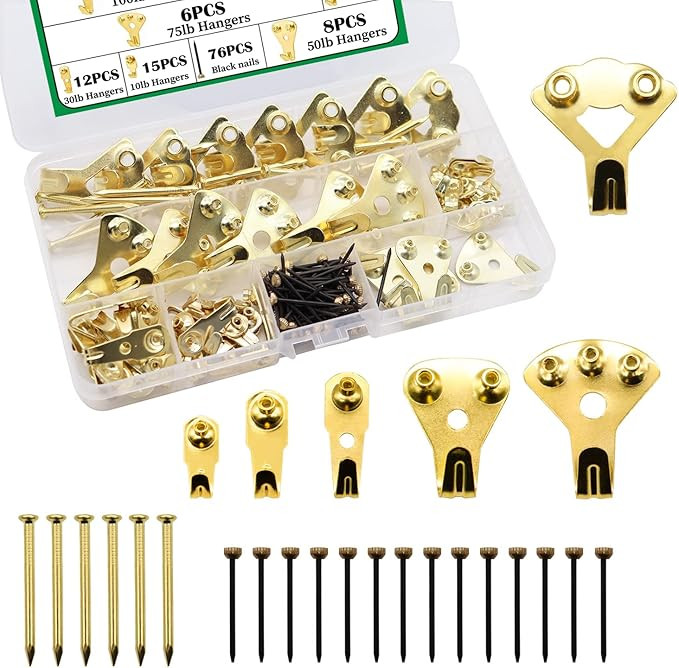 Dianrui 63Set (153PCS) Plaster Wall Picture Hangers 10-100 lbs, Professional Heavy Duty Picture H... | Amazon (US)