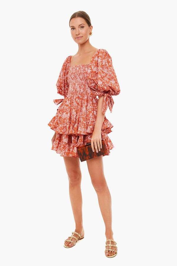 Rust Toile Finley Dress | Tuckernuck (US)