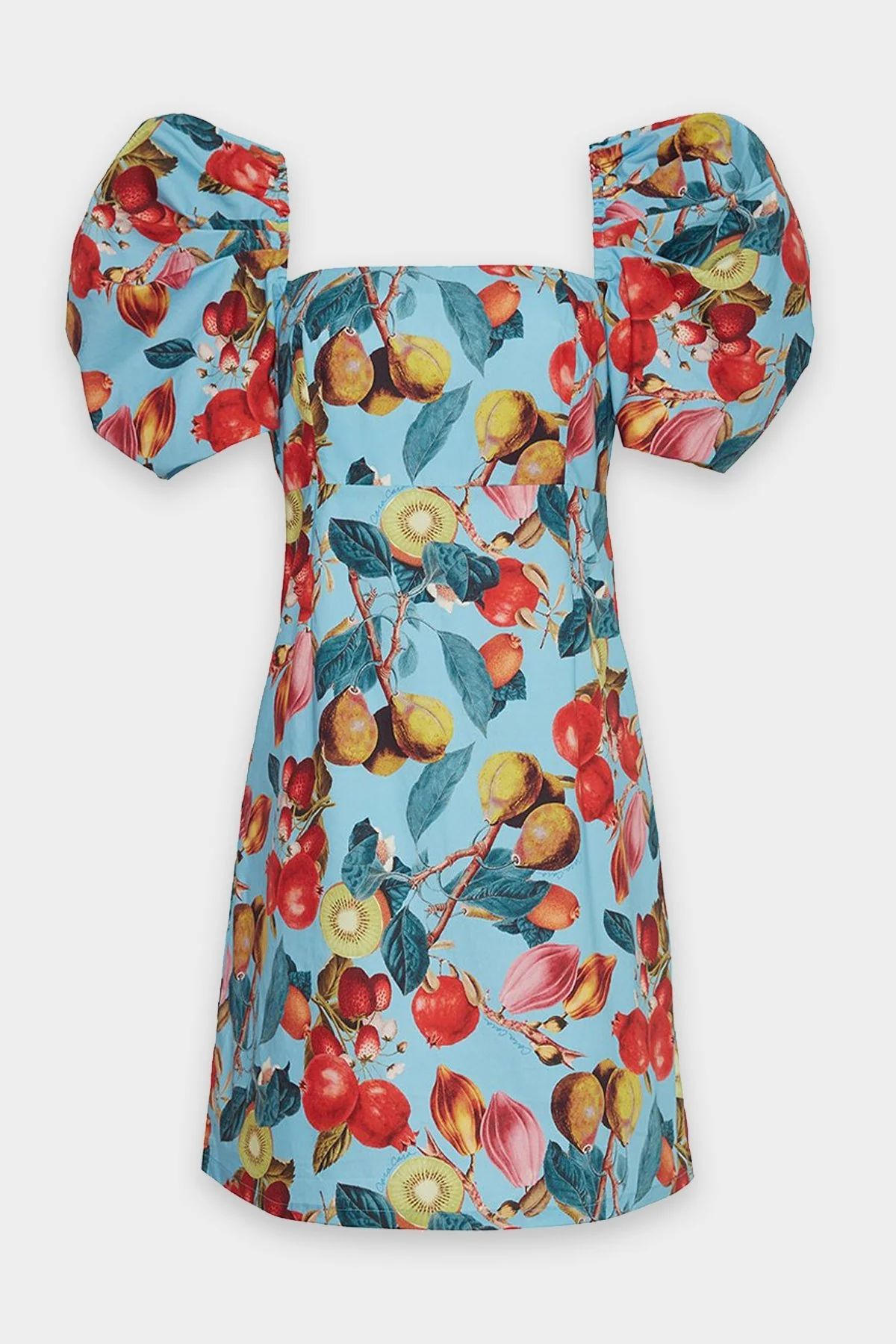 Kelly Dress in Fruit Blue - S | Shop Olivia