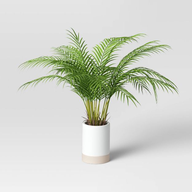 Palm in white Ceramic Pot - Threshold™ | Target