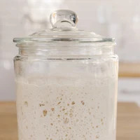 239yr Old Authentic San Francisco Dried Sourdough Starter - Etsy | Etsy (US)