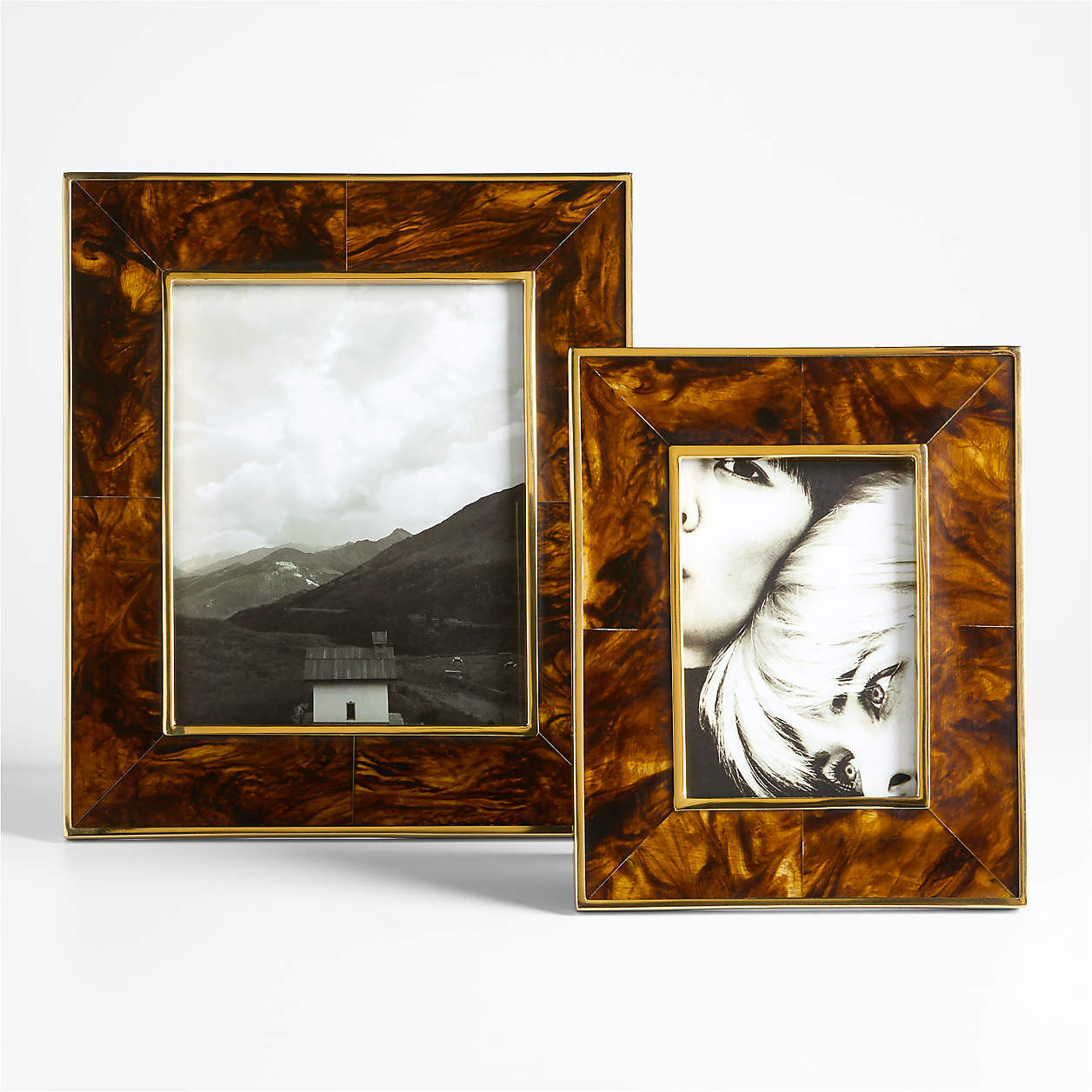 Tortoise Brass Resin 8x10 Picture Frame + Reviews | Crate & Barrel | Crate & Barrel