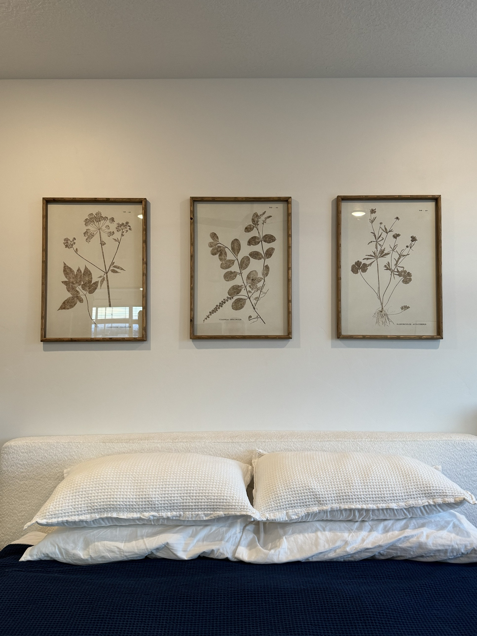 LOVE these pictures above my bed!! they are from DOWNEAST but I couldn’t get a link so these are similar products :) 

#LTKhome #LTKstyletip