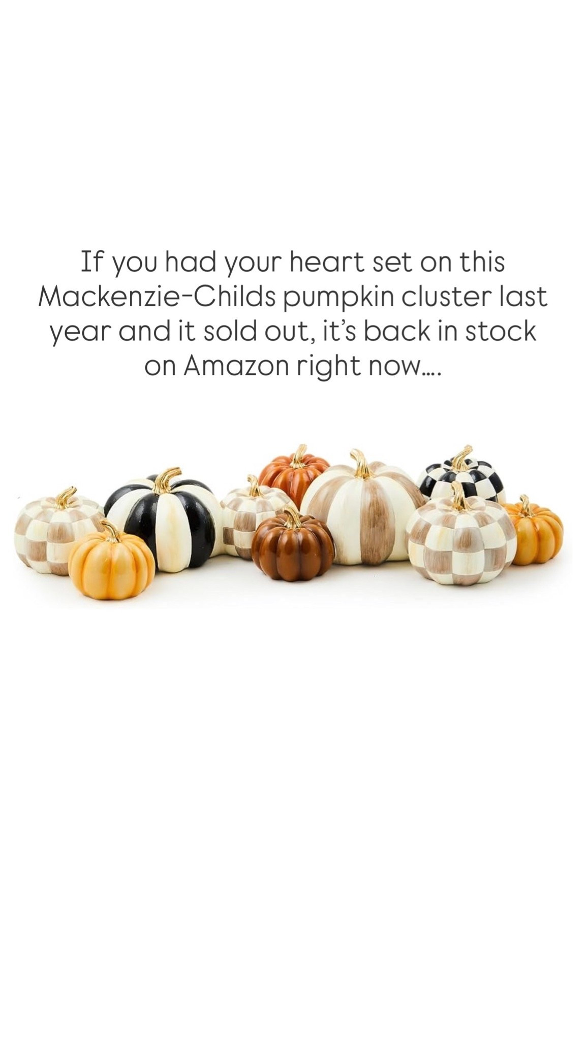 If you had your heart set on this Mackenzie-Childs pumpkin cluster last year and it sold out, it’s back in stock on Amazon right now…. 

My check pumpkins are also back in stock! I personally love the mocha check and sterling check the best 🩶

#LTKHome #LTKSeasonal #LTKmomlife