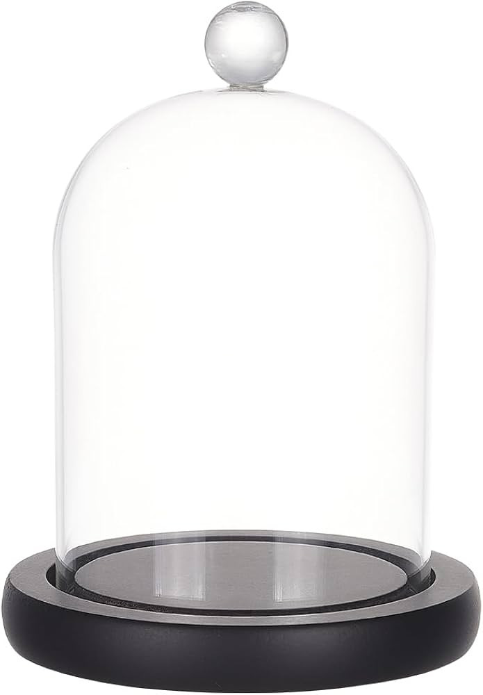 PH PandaHall Cloche Glass Dome Clear Glass Display Dome Cloche Bell Jar Black Dome Cover with Top... | Amazon (US)