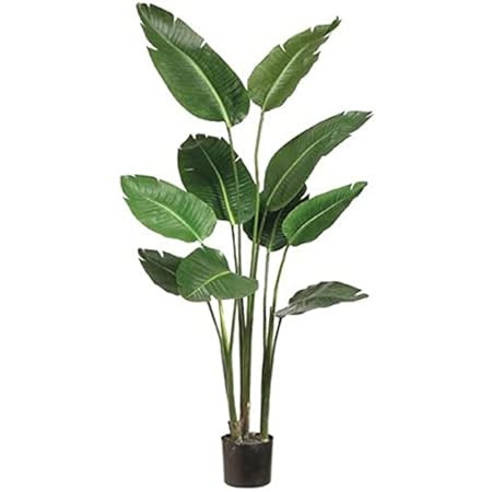 One 5 foot Artificial Silk Bird of Paradise Palm Tree Potted Plant | Amazon (US)