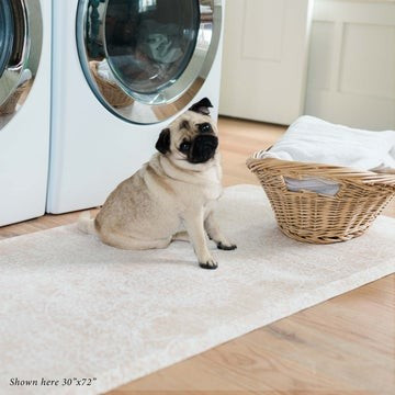 Carnelian | House of Noa (formerly Little Nomad)