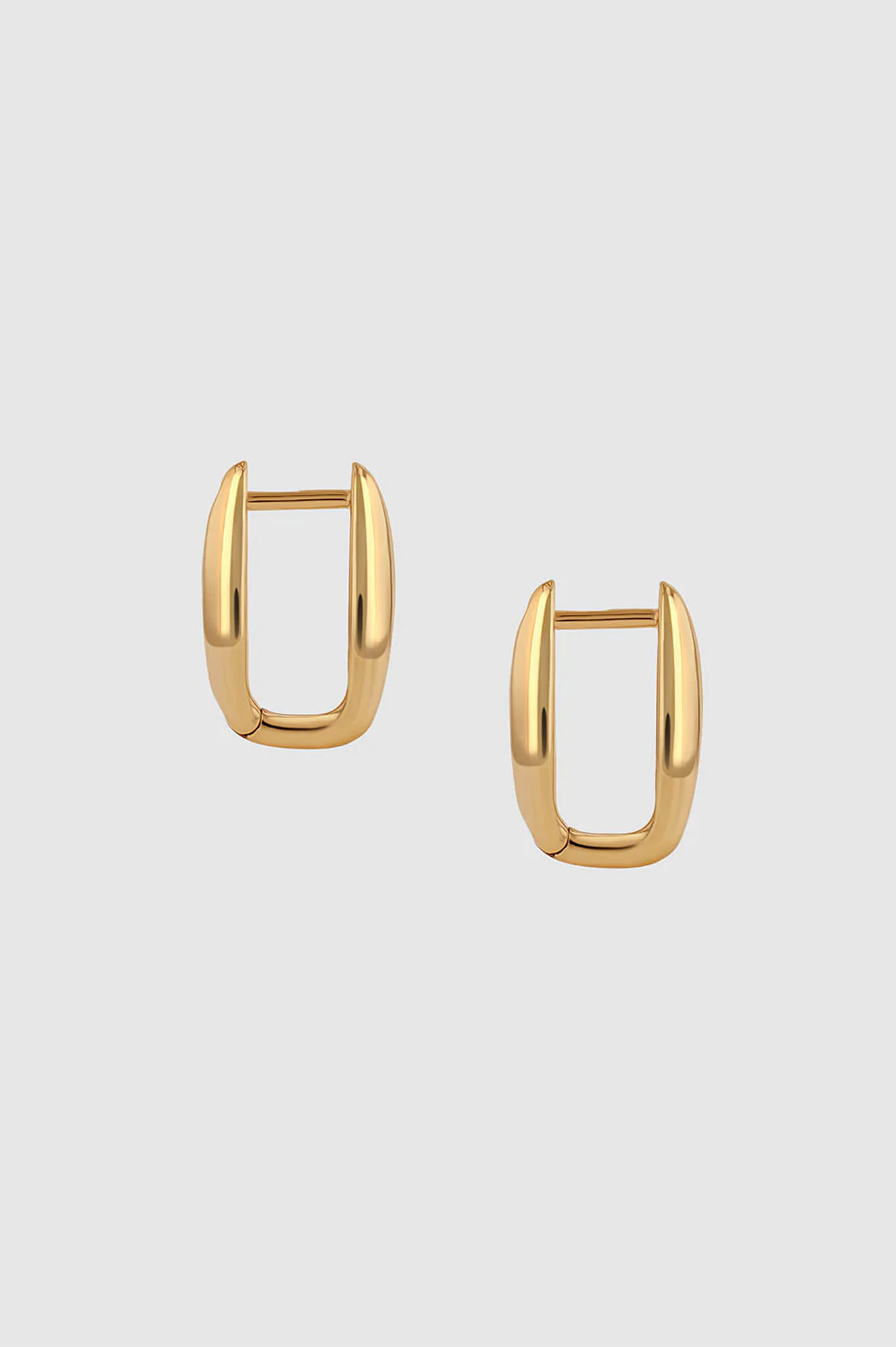 Oval Link Earrings | Anine Bing