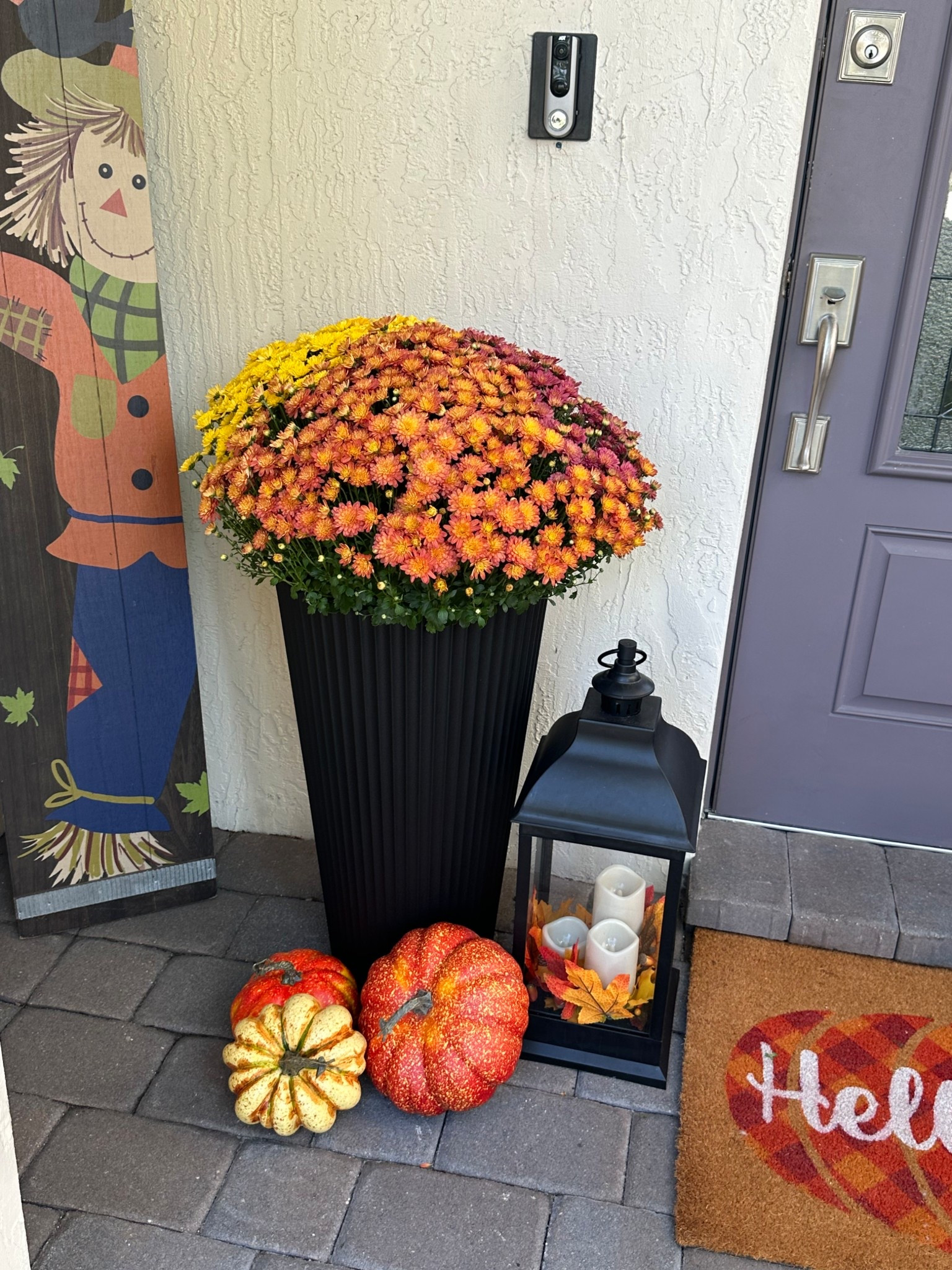 Veradek Demi Tall Planters!


#LTKStyleTip #LTKHome #LTKFindsUnder100