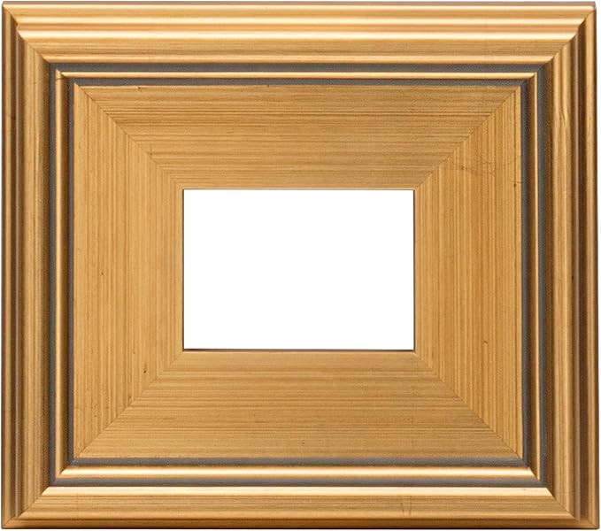 Creative Mark Plein Air Style Frame, Hand Leafed Gold, 4x6-2.75" Wide Moulding with 1/2" Rabbet D... | Amazon (US)