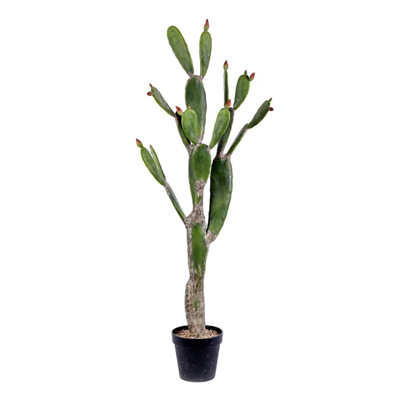 Artificial Potted Cactus | Wayfair North America
