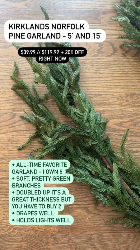 Kirkland’s extremely famous Norfolk Pine garland is marked down to $29.99 today!!

#LTKSeasonal #LTKhome #LTKHoliday