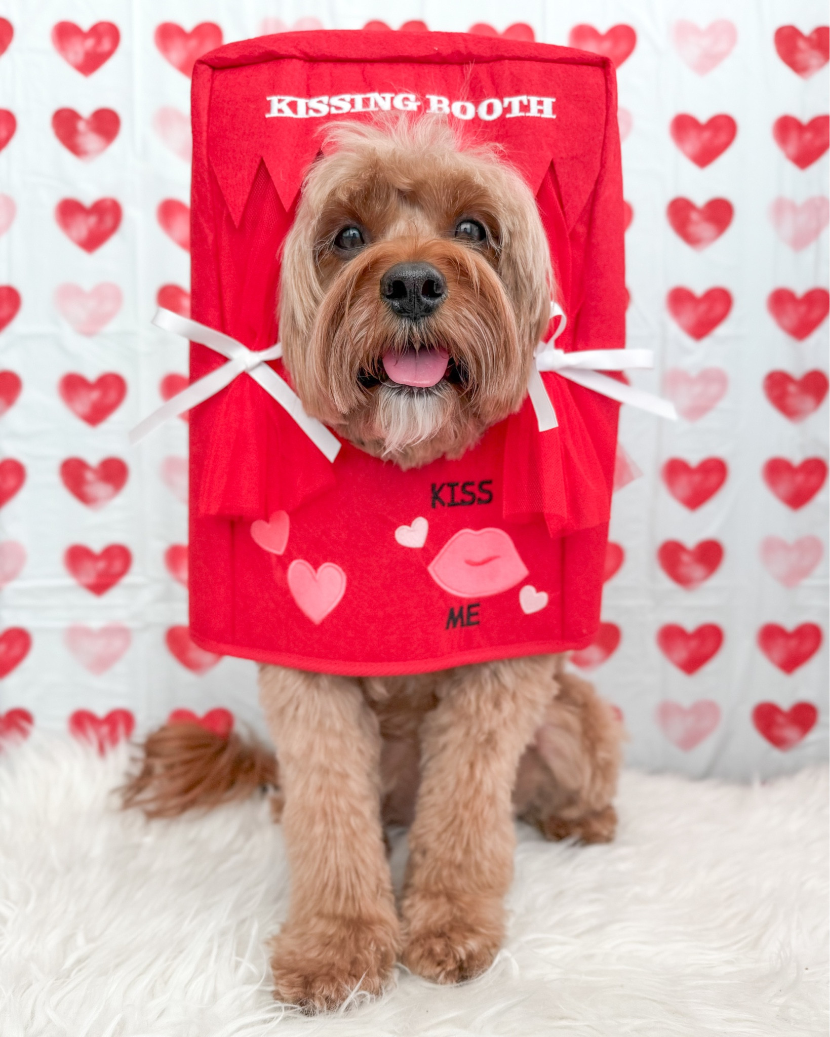 Kissing Booth is now OPEN! Get your own kissing booth before the big day to score some extra kisses! 💋 Linked exact one below  