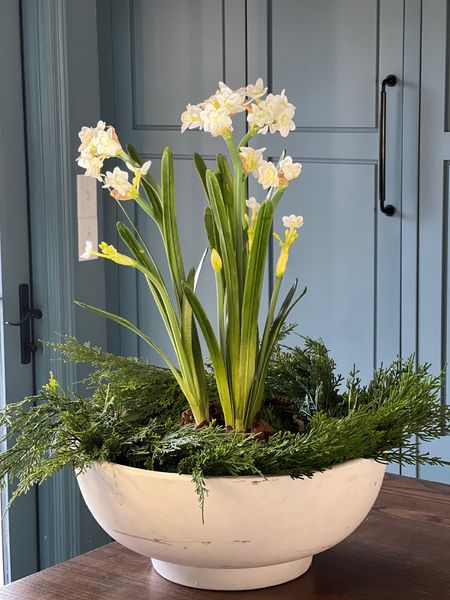 A simple winter centerpiece that will work well in to the spring! White large decorative bowl, moss, pinecones, garland and artificial paperwhite bulbs and flowers.

#LTKfindsunder50 #LTKfindsunder100 #LTKhome
