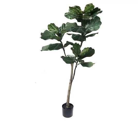 5' Potted Giant Fiddle Leaf Tree by Valerie - QVC.com | QVC