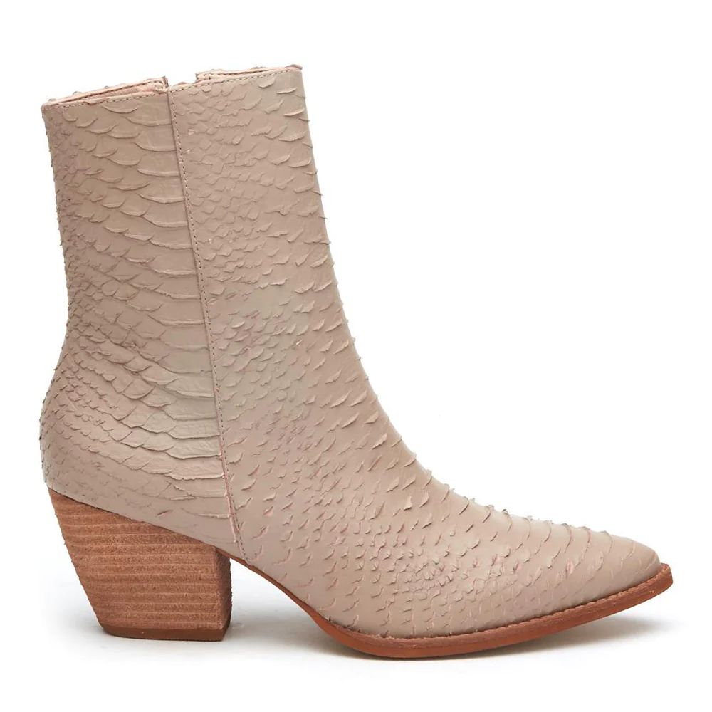 Caty Ankle Boot | Matisse Footwear