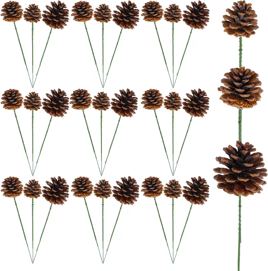 30 Pieces Christmas Natural Pine Cones Rustic Natural Pine Cone for Craft 3 Sizes Pinecones with ... | Amazon (US)