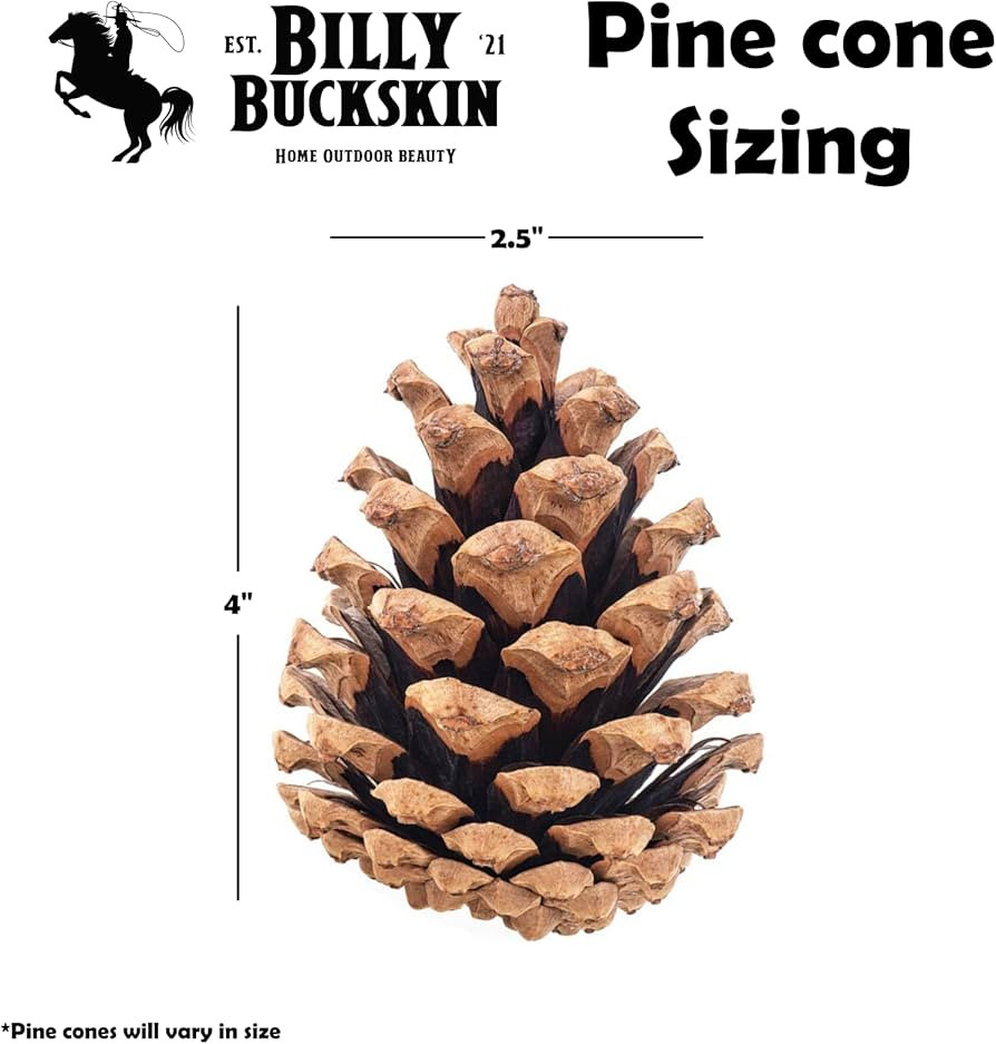 20 Large Natural Pine Cones for Crafts, 3" to 4" Tall Pine Cones Craft for Table, Home Decor, Vas... | Amazon (US)