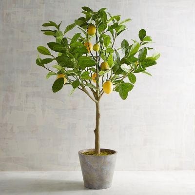 3' Faux Lemon Tree | Pier 1 Imports