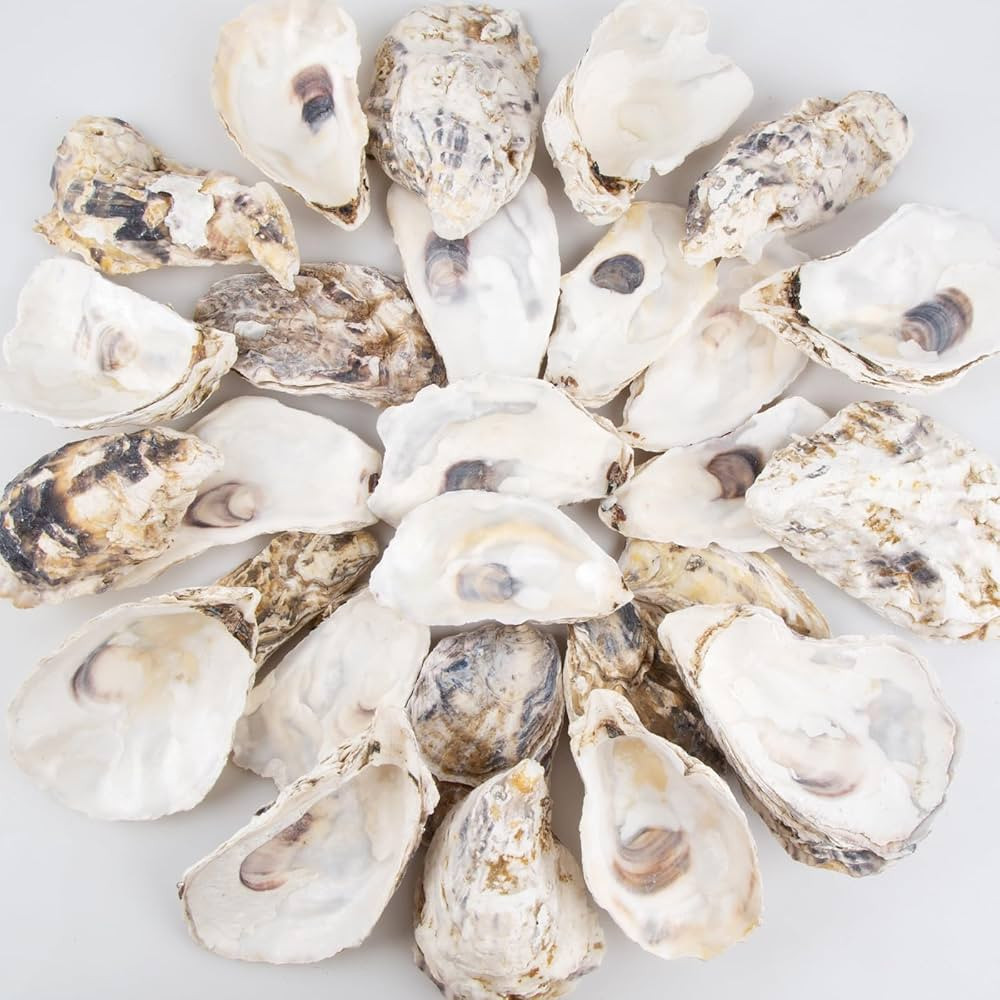 QEQEKAKA 30PCS Oyster Shells Flat & Concave 4"-5" Large Oyster Shells for Crafts Natural Oyster S... | Amazon (US)