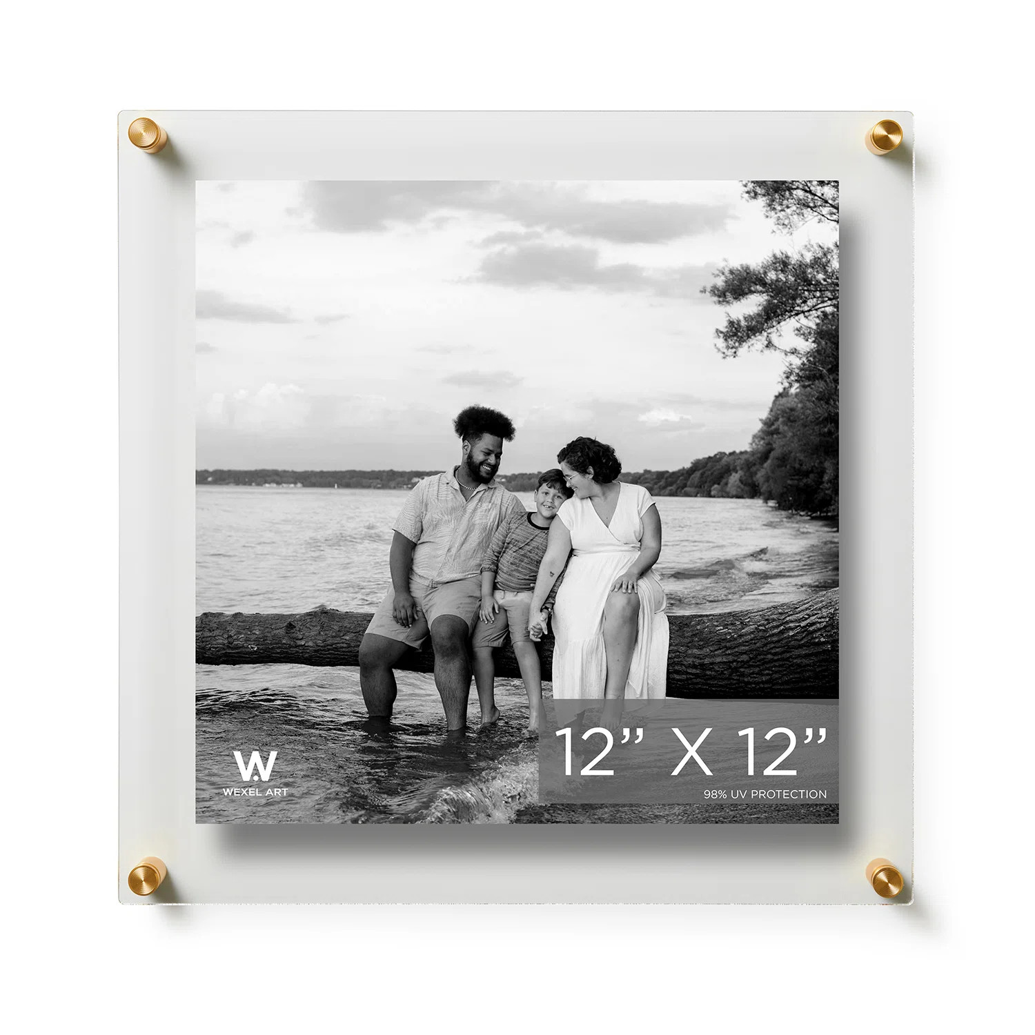 Clear UV-Grade Acrylic Modern Floating Picture Frame - Gold | Wayfair North America