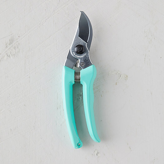 All-Purpose Pruner | Terrain