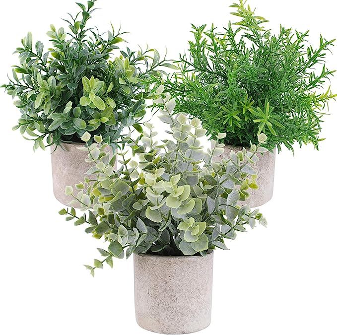 OUTLEE 3 Pack Mini Artificial Potted Plants Faux Eucalyptus Plants Boxwood Rosemary Greenery in P... | Amazon (US)