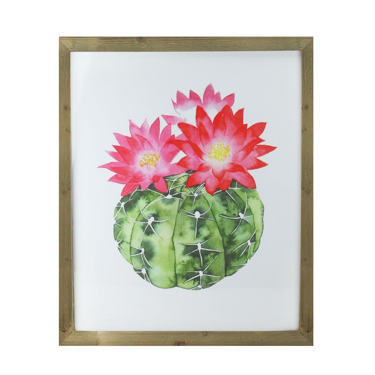 Raz Imports 24" Green and Pink Cactus Decorative Wooden Framed Print Wall Art | Target