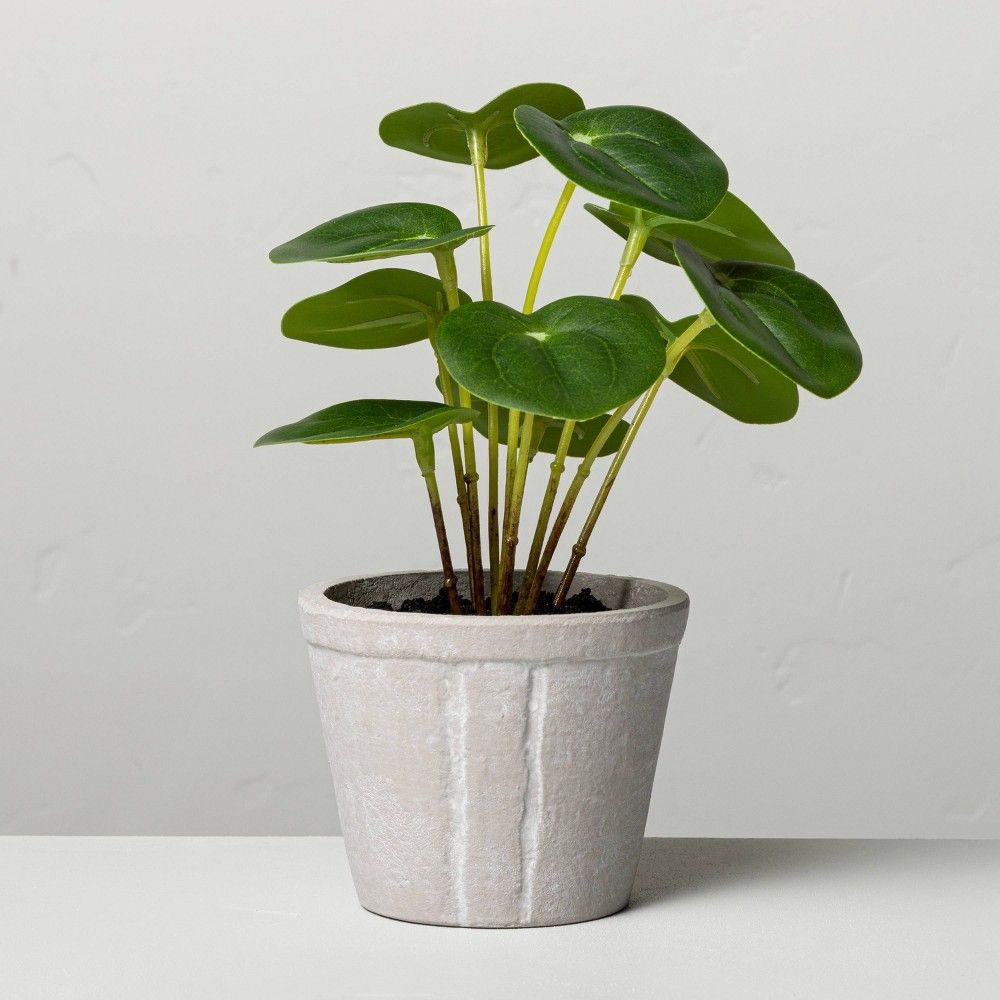 7" Faux Pilea Potted Plant - Hearth & Hand™ with Magnolia | Target