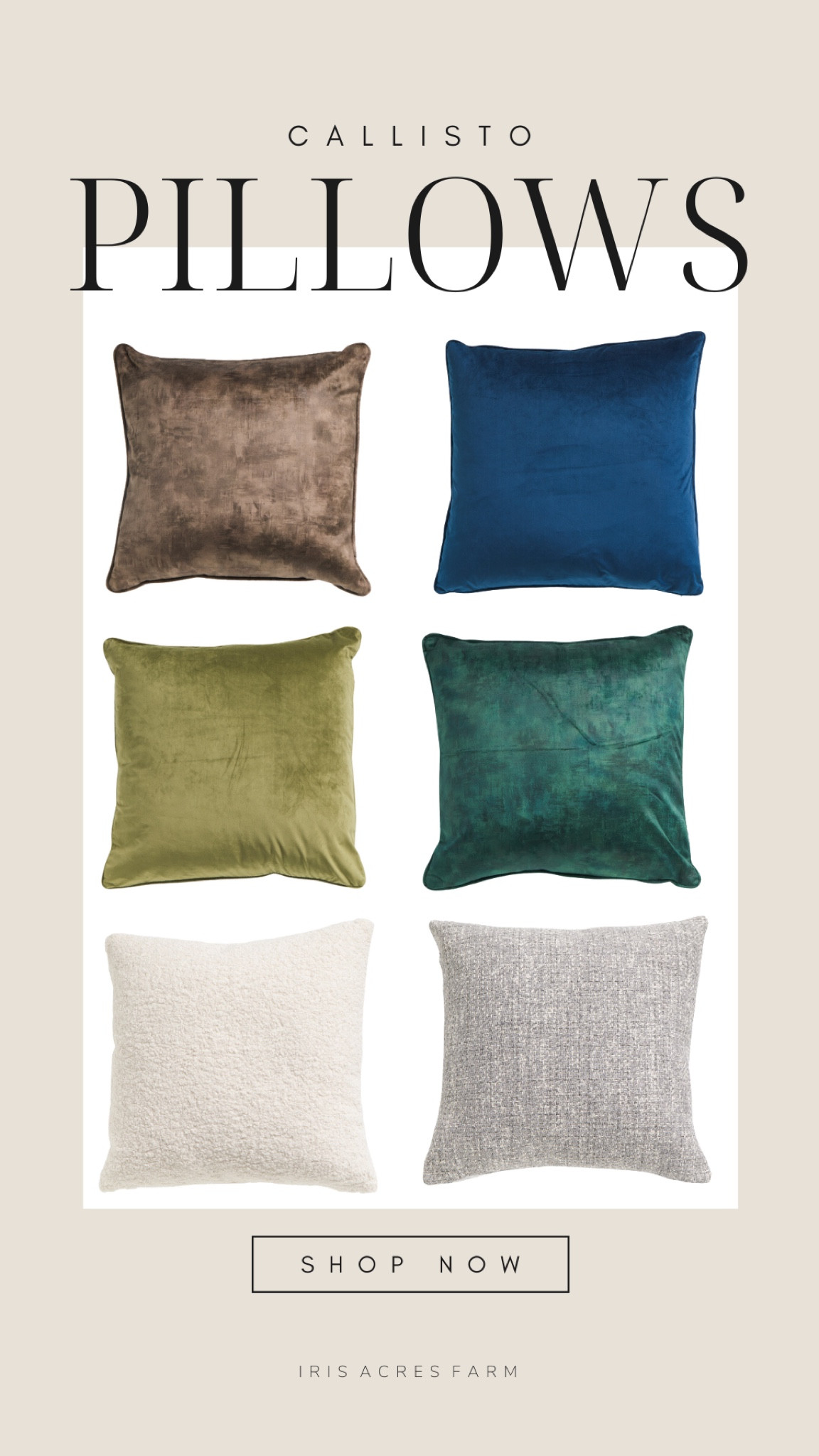 The most gorgeous 24”x 24” pillows. I have a set of four of the luxury velvet and two of the boucle. 

Not only are the covers so luxe, the inserts are incredible m!

#LTKSeasonal #LTKhome
