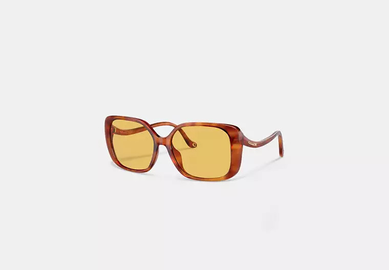 Swoop Temple Rectangle Sunglasses | Coach (CA)