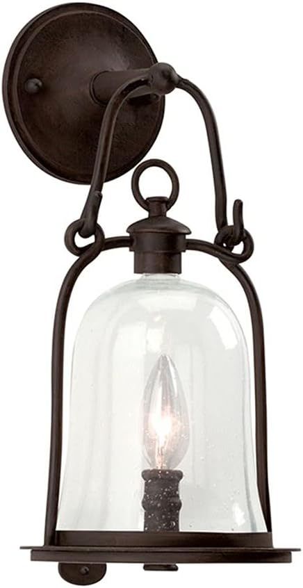 Troy Lighting Owings Mill 1-Light Outdoor Wall Lantern - Natural Bronze Finish with Clear Seeded ... | Amazon (US)