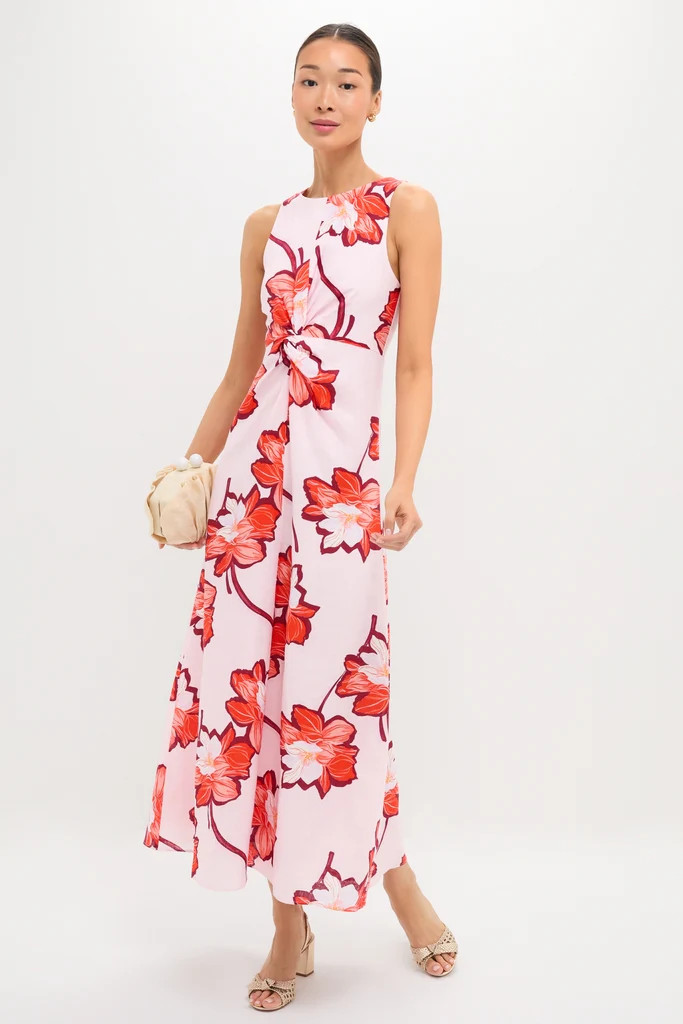 Lani Maxi Dress | Tuckernuck (US)