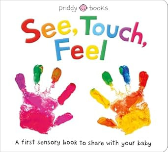 See, Touch, Feel: A First Sensory Book | Amazon (US)